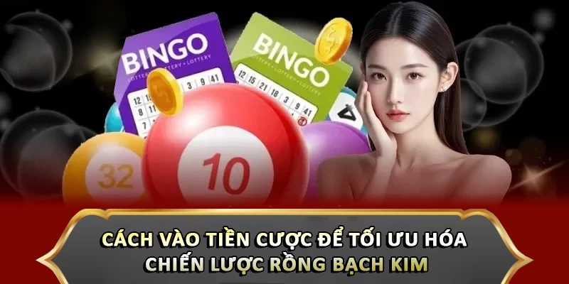 Hướng Dẫn Sử Dụng Thống Kê Rồng Bạch Kim Cực Chuẩn Cách vào tiền cược để tối ưu hóa chiến lược rồng bạch kim